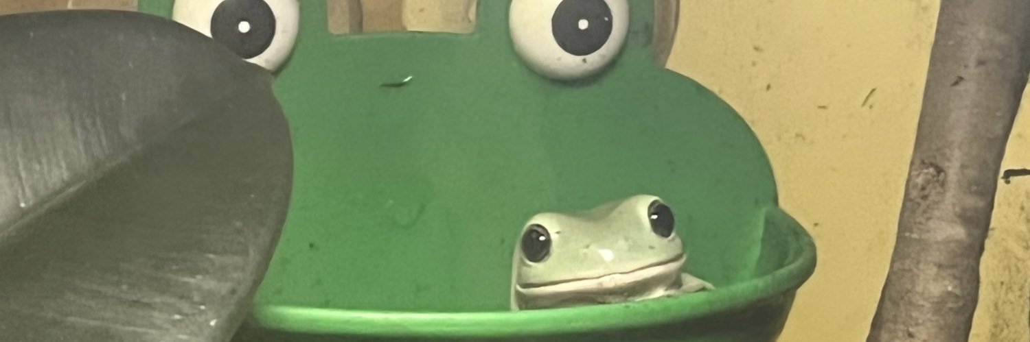 babysolarrrr's profile banner image