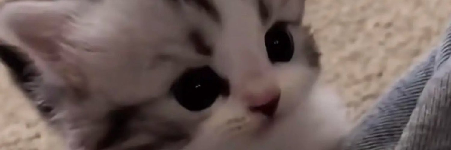 Janee_Hill's profile banner image