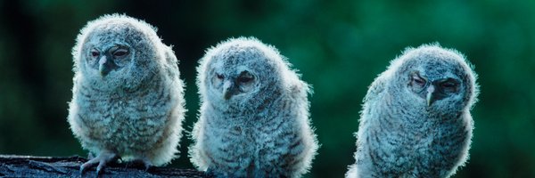 goedetoetsen Profile Banner