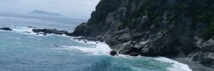 Anguilla_latus's profile banner image