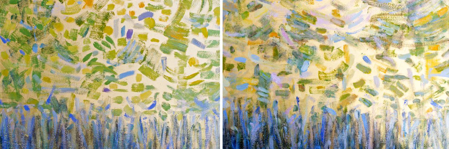 Madelyn Jordon banner