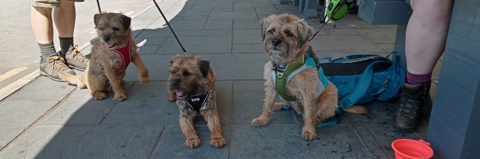 Harvey and Jack banner