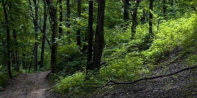 lisamccann88's profile banner image
