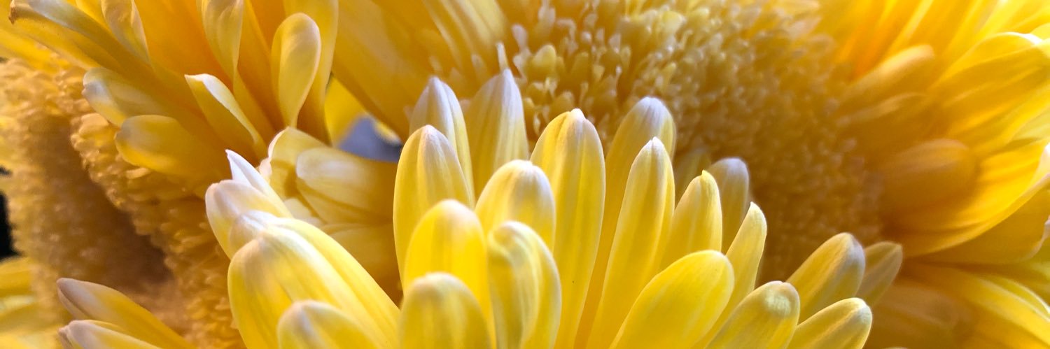 _TaylorNiicole's profile banner image