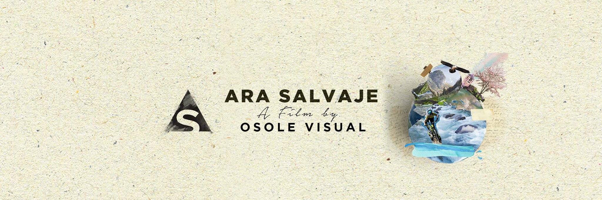 OsoleVisual's profile banner image