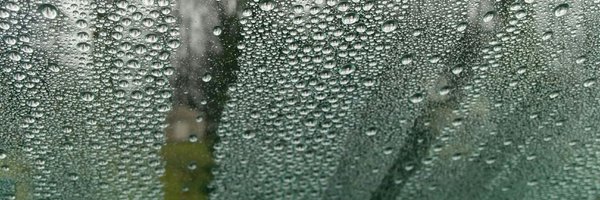 ellemontry Profile Banner