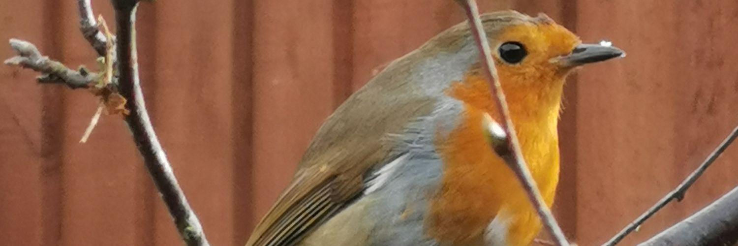Jo banner