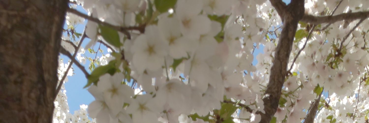 akinohaduki's profile banner image