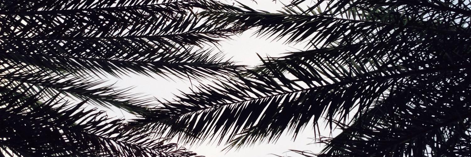 Jillyzah's profile banner image