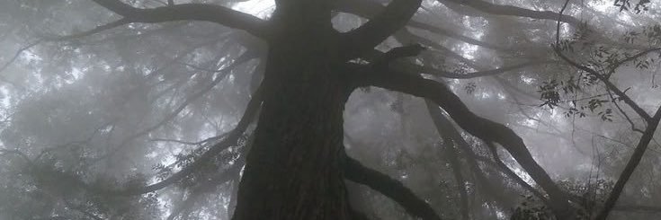 starhvva's profile banner image