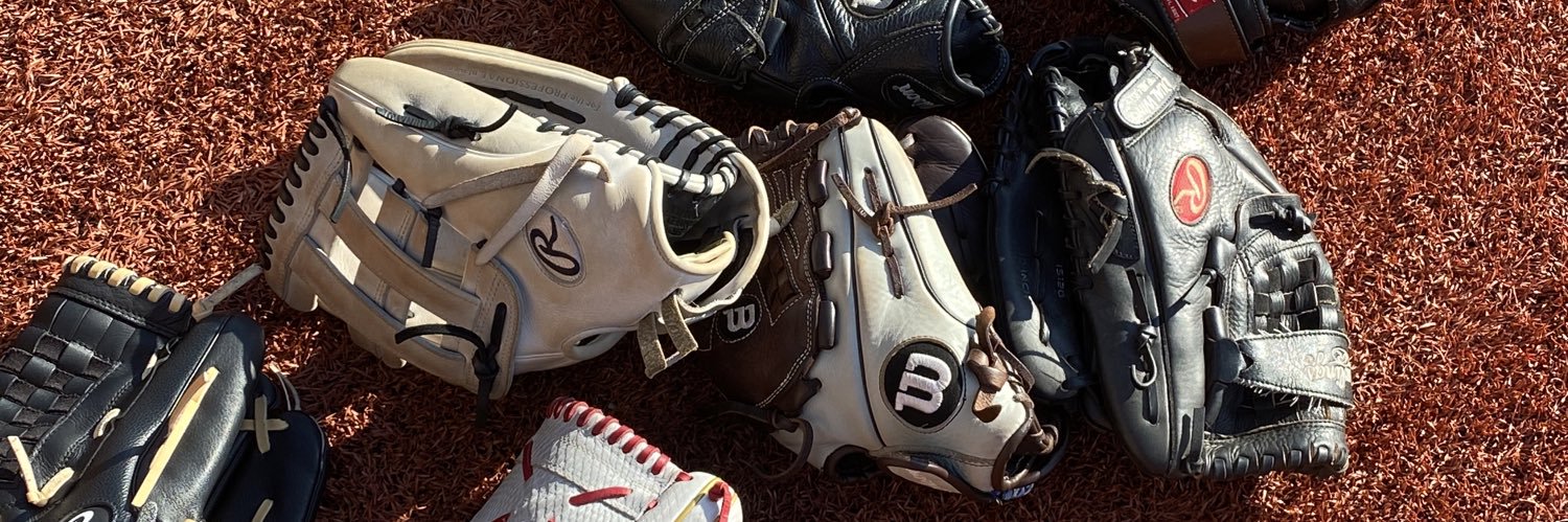 tfbannasoftball's profile banner image
