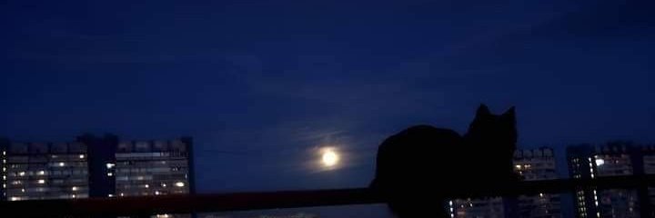 Arunrajunni's profile banner image