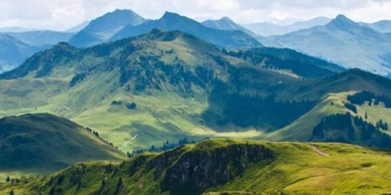 vladimirbratus's profile banner image