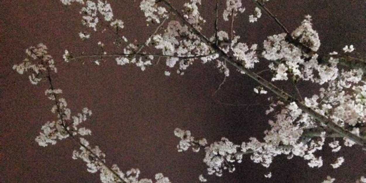 jin_eternity's profile banner image