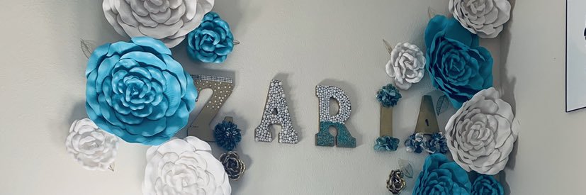 Zar_barr's profile banner image