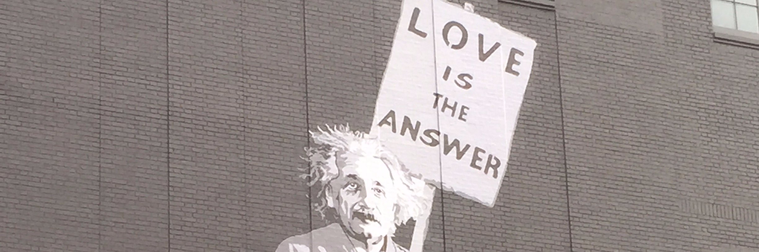 Dana G. Cohen, MD banner