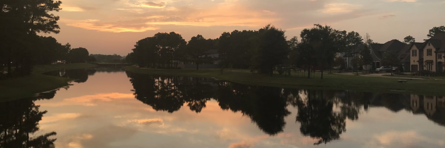 boring_buffet's profile banner image