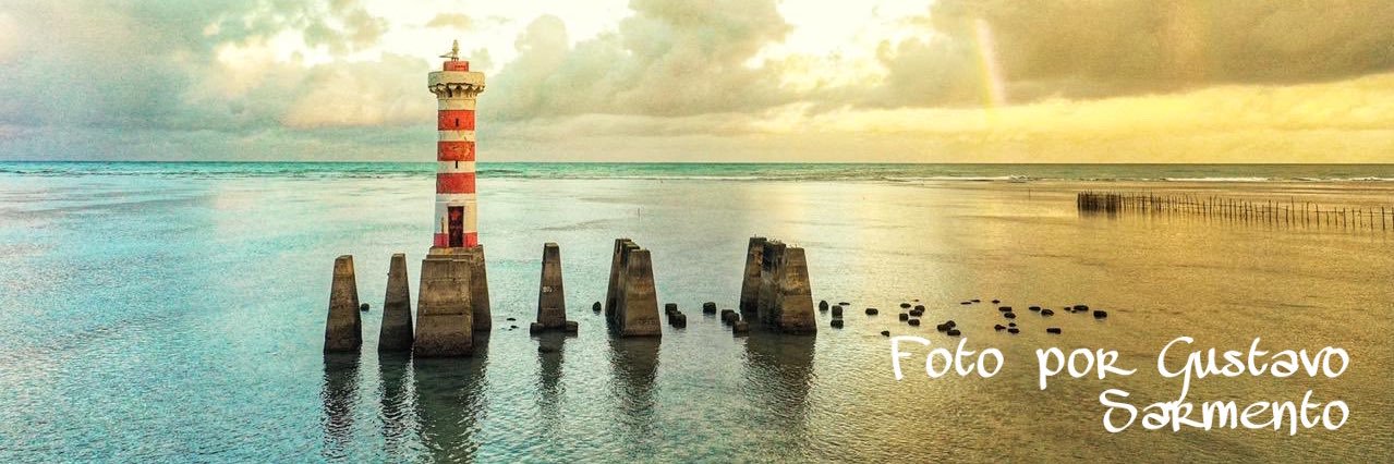 TPBay_max's profile banner image
