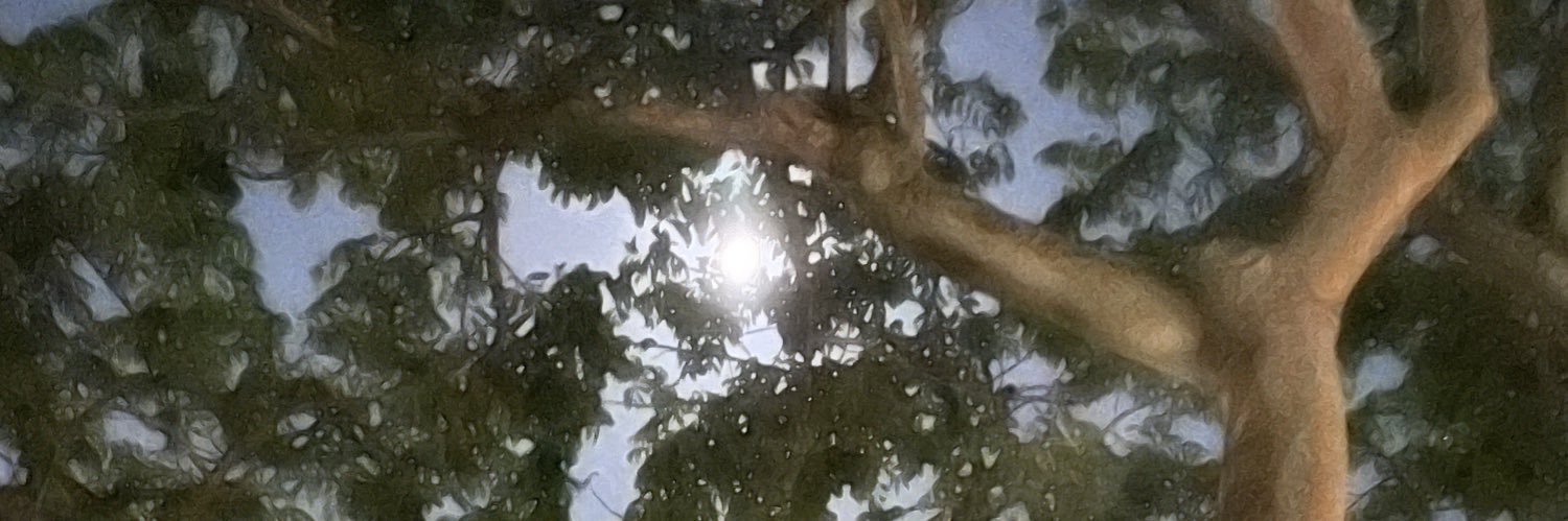 PRAISETV's profile banner image