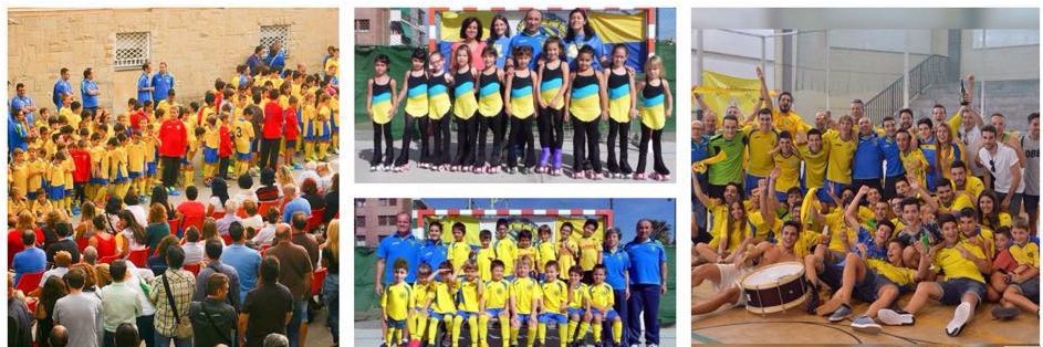 Associació Esportiva Futbol Sala Arrels banner