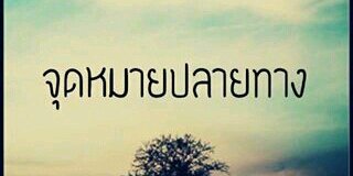 mildchutamas's profile banner image