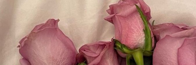 urvashi911's profile banner image