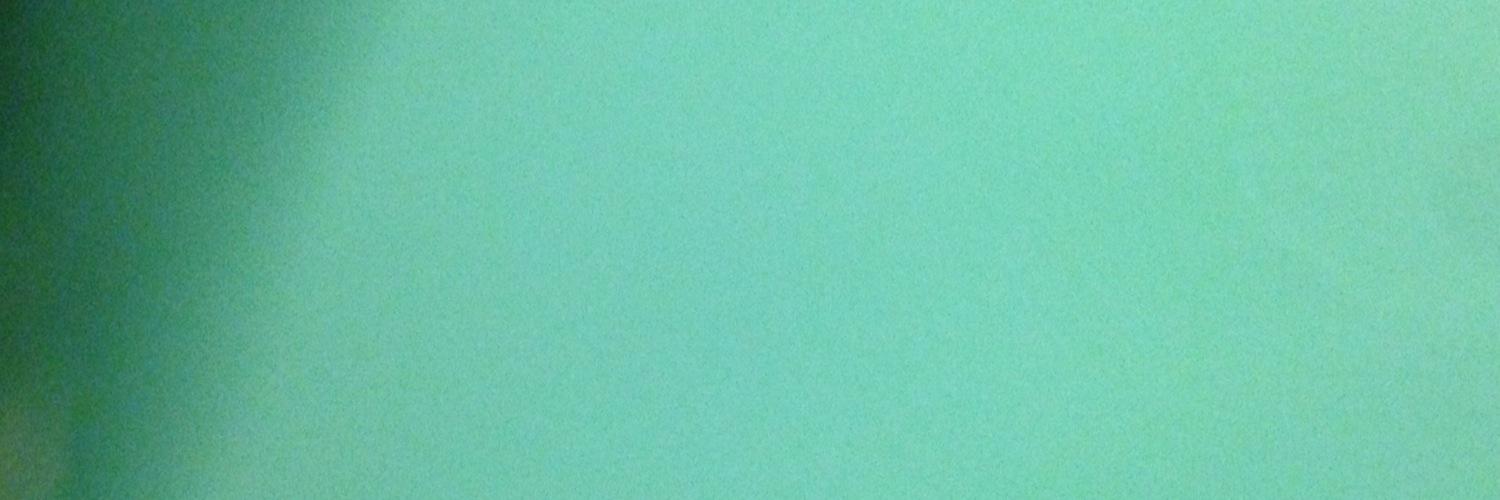 bronwyn leslie banner