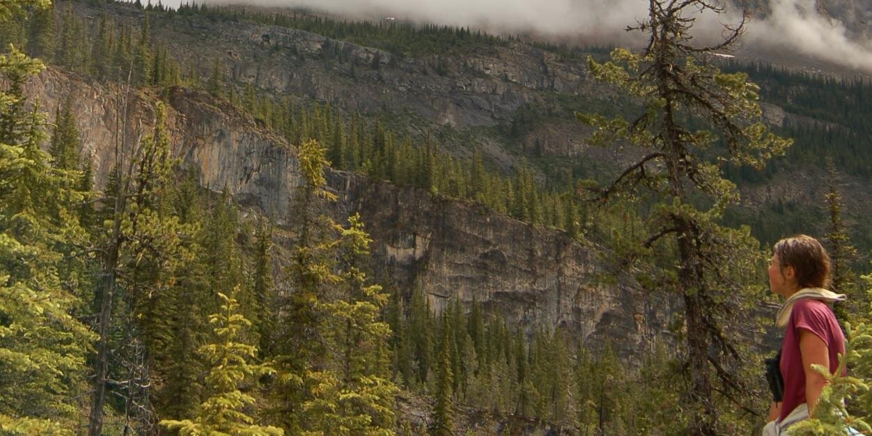 Meg Krawchuk🇺🇦 banner