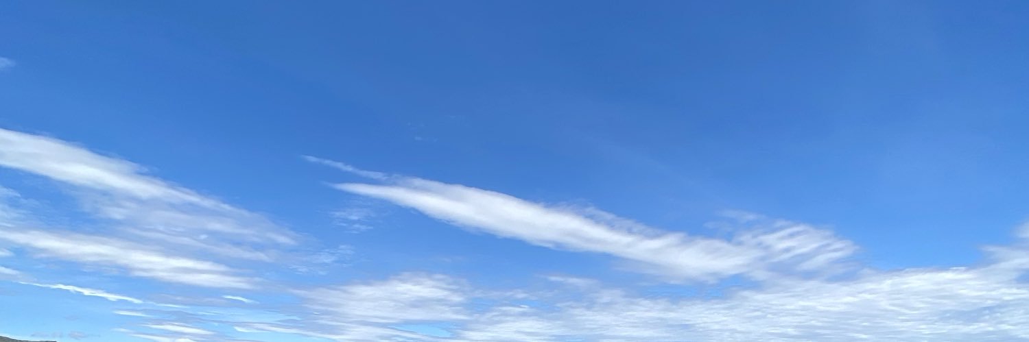 Malejagascal's profile banner image