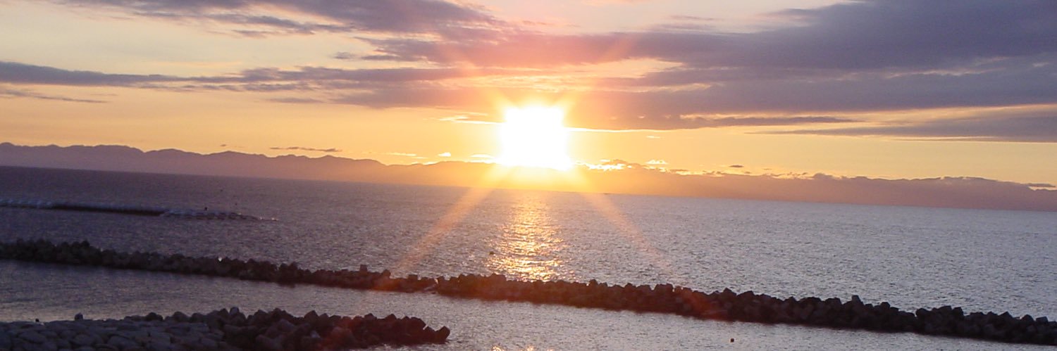iisao_'s profile banner image