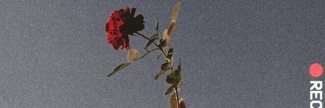 serialfiraa's profile banner image