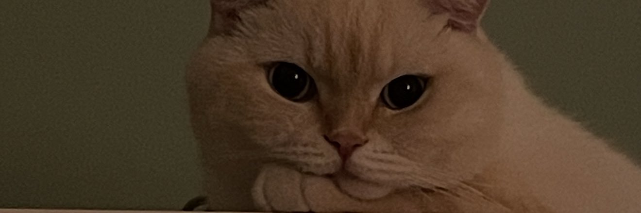 _serapats's profile banner image