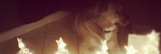 _eeveeohoh's profile banner image