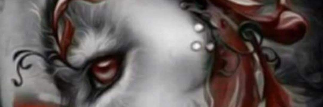 amornovoa's profile banner image