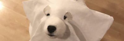 myynttkann's profile banner image