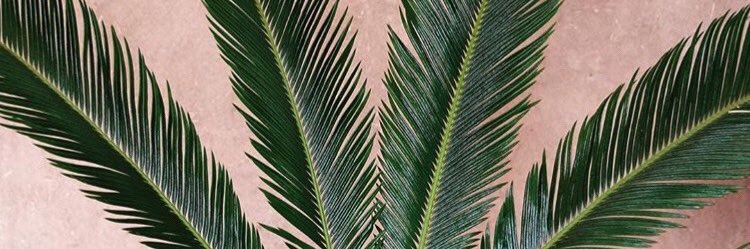 mxni_xo's profile banner image