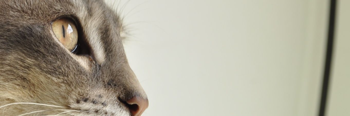 ktakessel's profile banner image