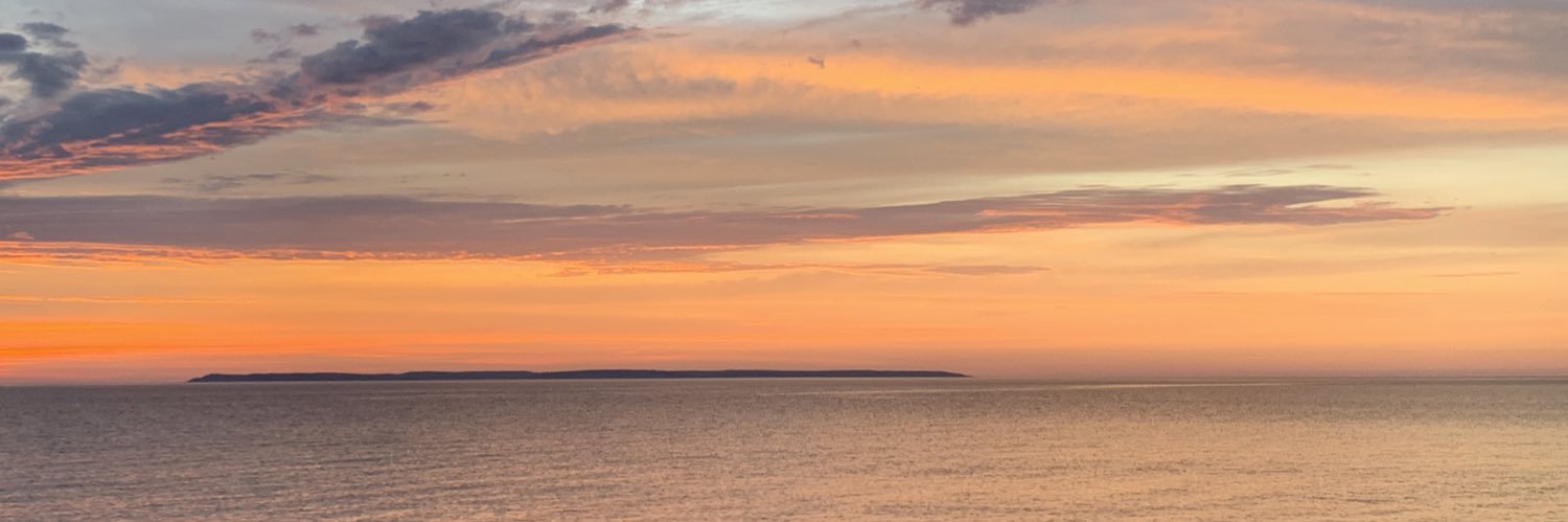 emilyesseff's profile banner image