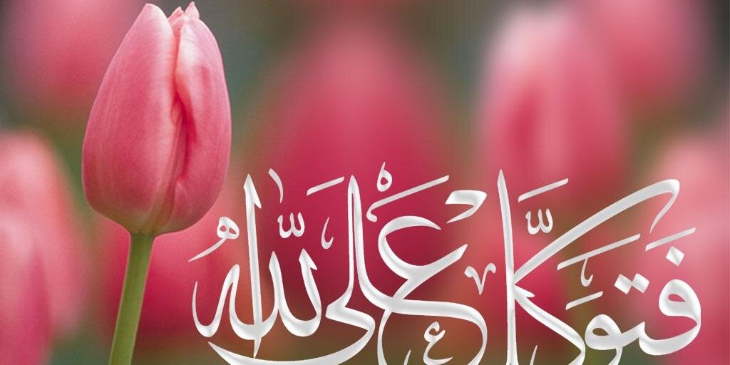bilqisCL's profile banner image
