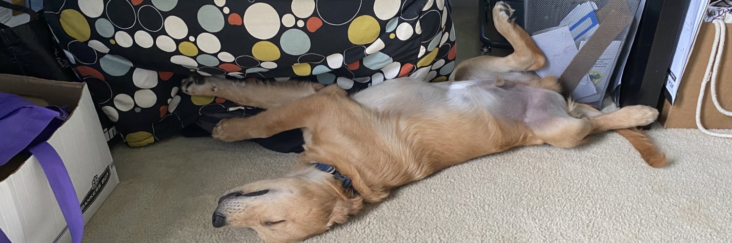 David Wilson Brown banner