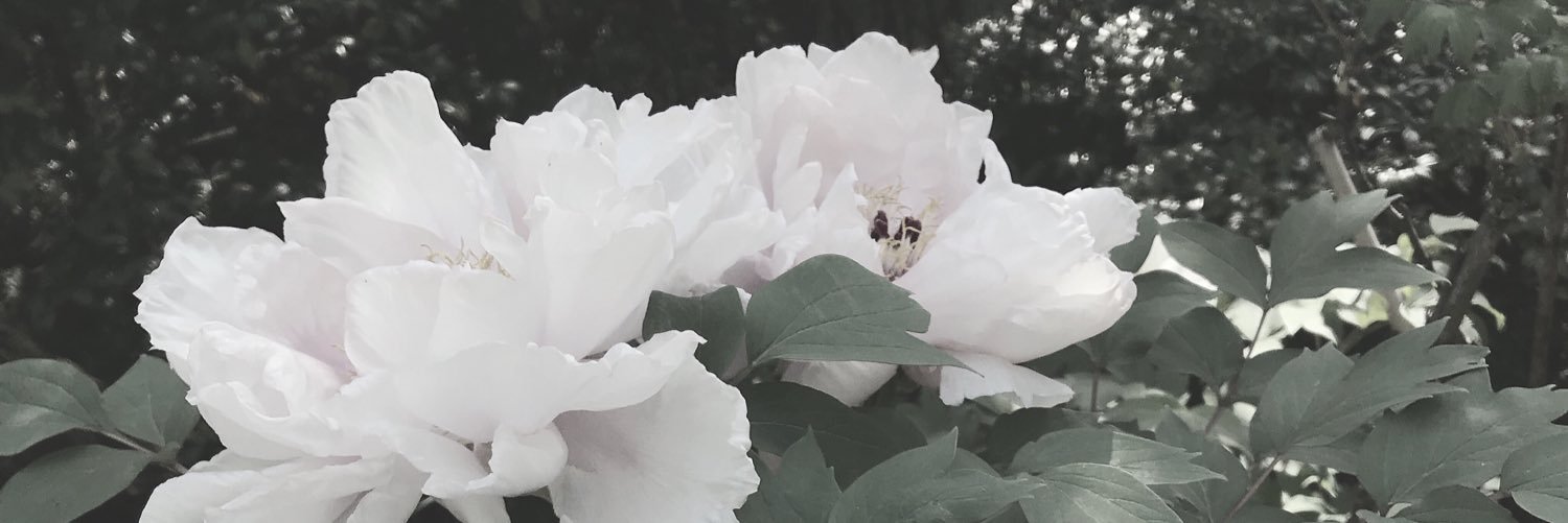 SaSy210's profile banner image