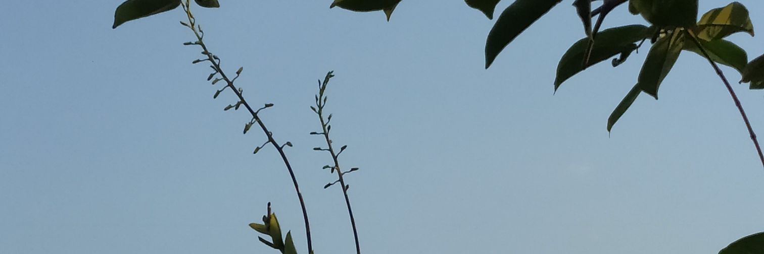 IstotoNLP's profile banner image