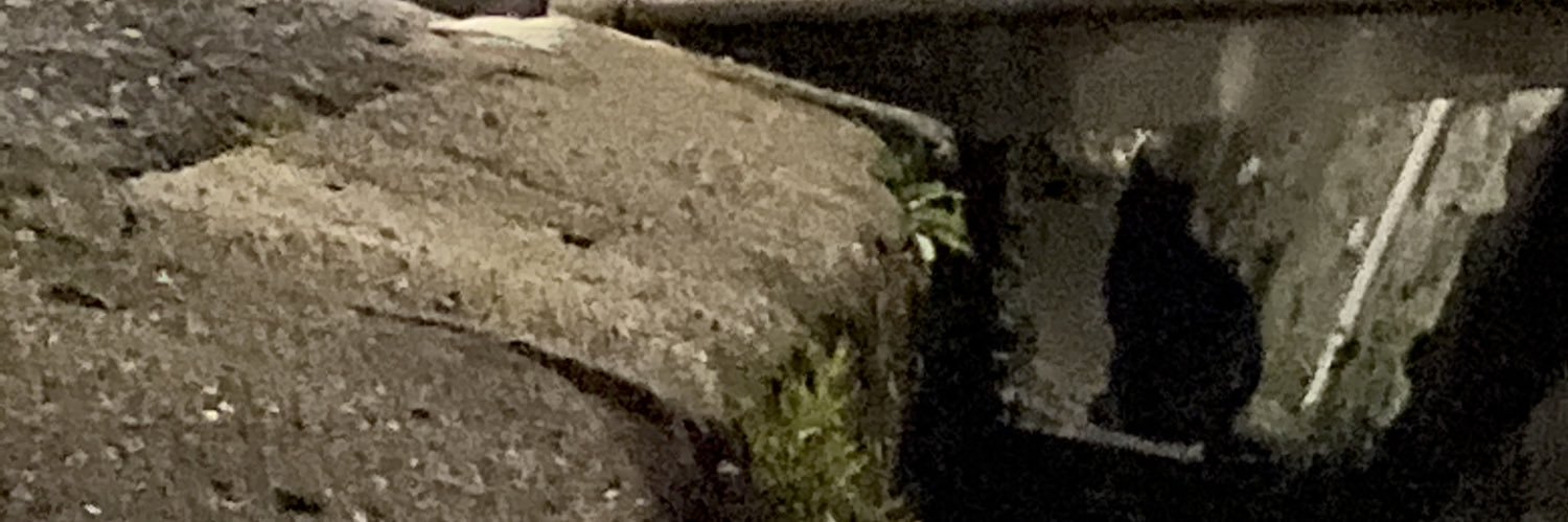 __kagafuri__'s profile banner image