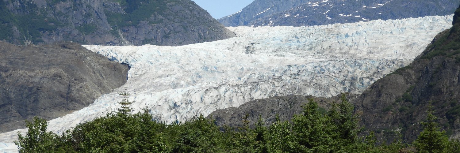 david bennett banner