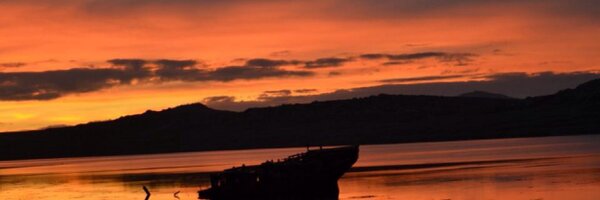 vikkileefi Profile Banner