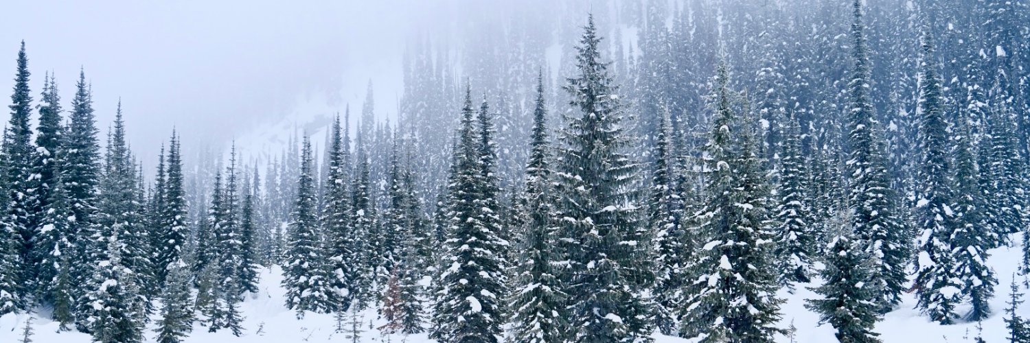 National Forest Fdn. banner