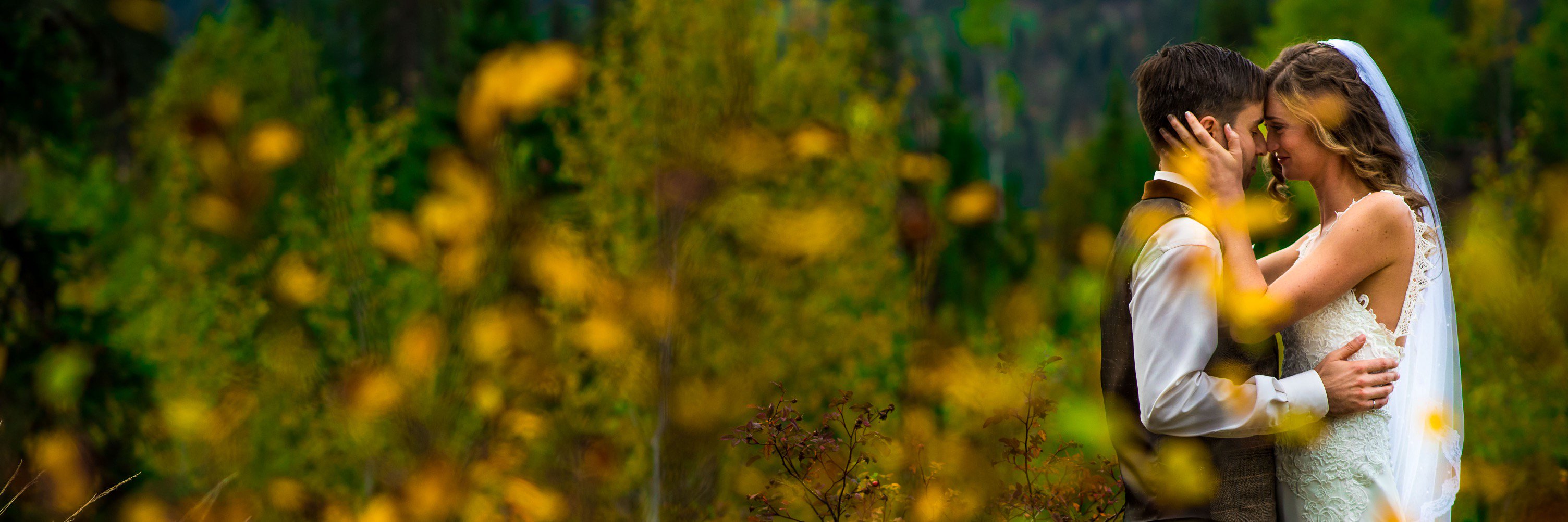 3owls's profile banner image