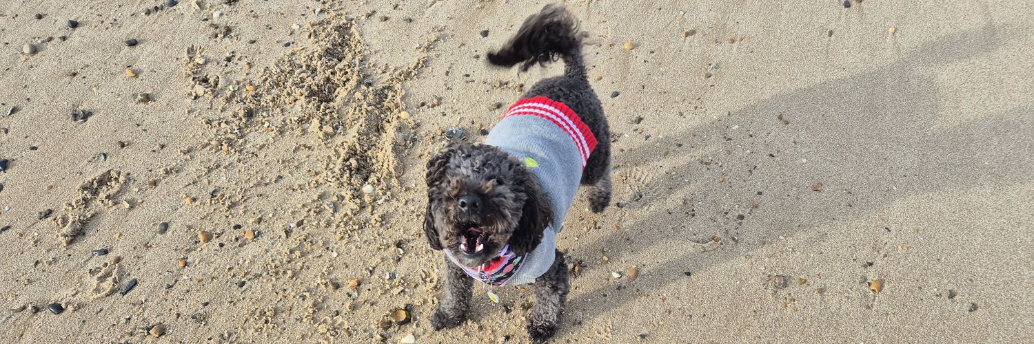 Becky Tuohy-Hoy RNC 🇬🇧🏳️‍🌈 banner