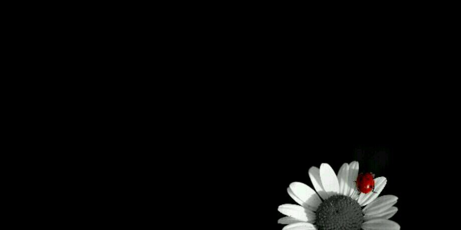 _bu94's profile banner image