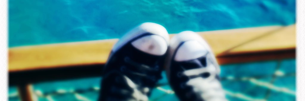 tracey littleBRIE 💙 banner